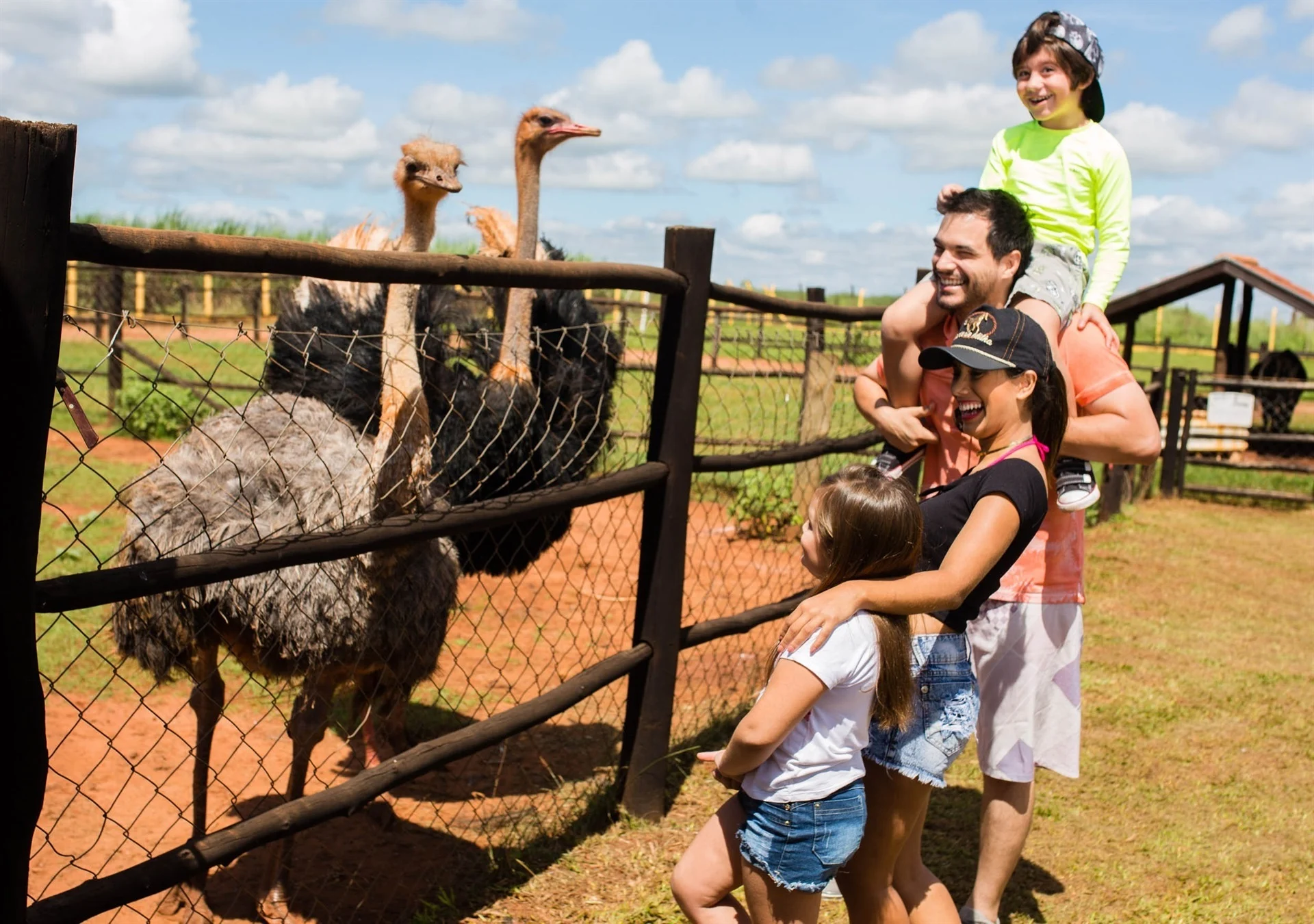 Crianças se divertindo no parque aquático